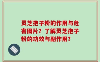 灵芝孢子粉的作用与危害图片？了解灵芝孢子粉的功效与副作用？