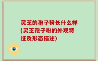 灵芝的孢子粉长什么样(灵芝孢子粉的外观特征及形态描述)