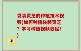 袋装灵芝的种植技术视频(如何种植袋装灵芝？学习种植视频教程！)