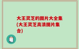 大王灵芝的图片大全集(大王灵芝高清图片集合)