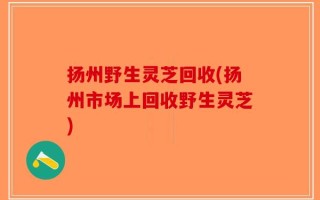 扬州野生灵芝回收(扬州市场上回收野生灵芝)