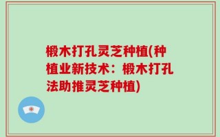 椴木打孔灵芝种植(种植业新技术：椴木打孔法助推灵芝种植)