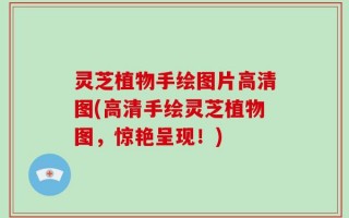 灵芝植物手绘图片高清图(高清手绘灵芝植物图，惊艳呈现！)