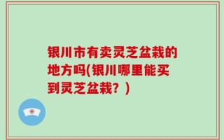 银川市有卖灵芝盆栽的地方吗(银川哪里能买到灵芝盆栽？)