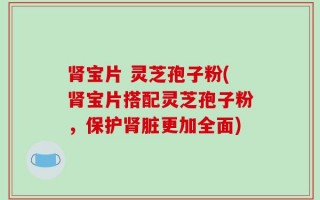 肾宝片 灵芝孢子粉(肾宝片搭配灵芝孢子粉，保护肾脏更加全面)