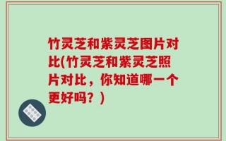 竹灵芝和紫灵芝图片对比(竹灵芝和紫灵芝照片对比，你知道哪一个更好吗？)