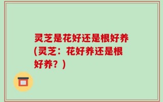 灵芝是花好还是根好养(灵芝：花好养还是根好养？)