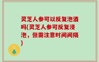 灵芝人参可以反复泡酒吗(灵芝人参可反复浸泡，但需注意时间间隔)