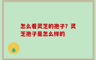 怎么看灵芝的孢子？灵芝孢子是怎么样的