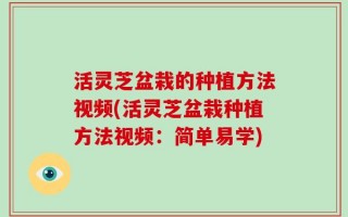 活灵芝盆栽的种植方法视频(活灵芝盆栽种植方法视频：简单易学)