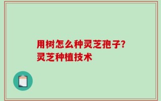 用树怎么种灵芝孢子？灵芝种植技术