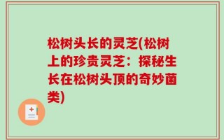 松树头长的灵芝(松树上的珍贵灵芝：探秘生长在松树头顶的奇妙菌类)