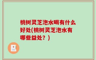 桃树灵芝泡水喝有什么好处(桃树灵芝泡水有哪些益处？)