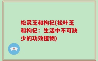 松灵芝和枸杞(松叶芝和枸杞：生活中不可缺少的功效植物)