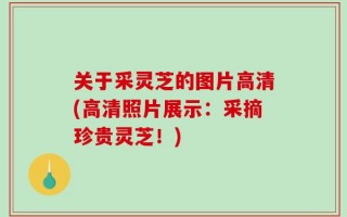 关于采灵芝的图片高清(高清照片展示：采摘珍贵灵芝！)