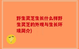 野生灵芝生长什么样野生灵芝的外观与生长环境简介)