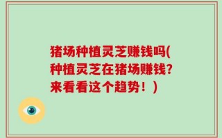 猪场种植灵芝赚钱吗(种植灵芝在猪场赚钱？来看看这个趋势！)
