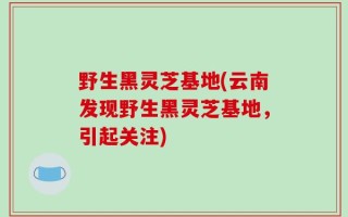 野生黑灵芝基地(云南发现野生黑灵芝基地，引起关注)