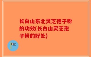 长白山东北灵芝孢子粉的功效(长白山灵芝孢子粉的好处)
