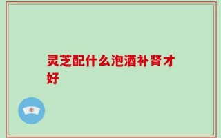 灵芝配什么泡酒补肾才好