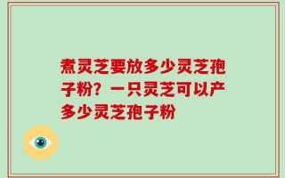 煮灵芝要放多少灵芝孢子粉？一只灵芝可以产多少灵芝孢子粉
