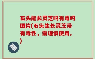 石头能长灵芝吗有毒吗图片(石头生长灵芝带有毒性，需谨慎使用。)