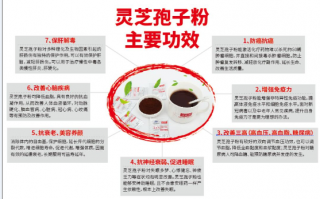 破破壁灵芝孢子粉功效好吗？