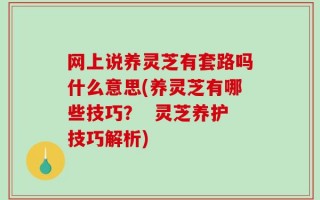 网上说养灵芝有套路吗什么意思(养灵芝有哪些技巧？  灵芝养护技巧解析)