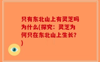 只有东北山上有灵芝吗为什么(探究：灵芝为何只在东北山上生长？)