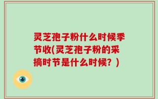 灵芝孢子粉什么时候季节收(灵芝孢子粉的采摘时节是什么时候？)