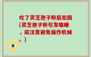 吃了灵芝孢子粉后犯困(灵芝孢子粉引发瞌睡，应注意避免操作机械。)