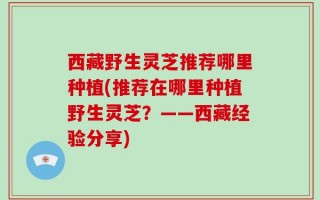 西藏野生灵芝推荐哪里种植(推荐在哪里种植野生灵芝？——西藏经验分享)