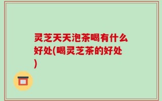 灵芝天天泡茶喝有什么好处(喝灵芝茶的好处)