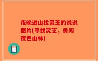 夜晚进山找灵芝的说说图片(寻找灵芝，勇闯夜色山林)