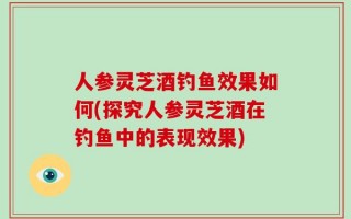 人参灵芝酒钓鱼效果如何(探究人参灵芝酒在钓鱼中的表现效果)
