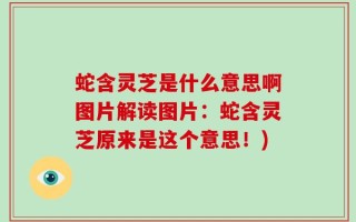 蛇含灵芝是什么意思啊图片解读图片：蛇含灵芝原来是这个意思！)