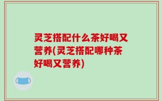 灵芝搭配什么茶好喝又营养(灵芝搭配哪种茶好喝又营养)