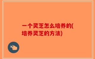 一个灵芝怎么培养的(培养灵芝的方法)