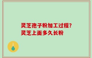 灵芝孢子粉加工过程？灵芝上面多久长粉