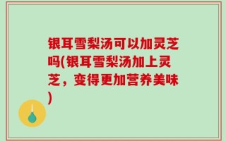 银耳雪梨汤可以加灵芝吗(银耳雪梨汤加上灵芝，变得更加营养美味)