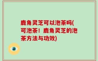 鹿角灵芝可以泡茶吗(可泡茶！鹿角灵芝的泡茶方法与功效)