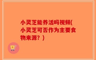 小灵芝能养活吗视频(小灵芝可否作为主要食物来源？)