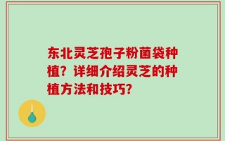 东北灵芝孢子粉菌袋种植？详细介绍灵芝的种植方法和技巧？