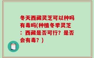 冬天西藏灵芝可以种吗有毒吗(种植冬季灵芝：西藏是否可行？是否会有毒？)