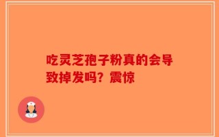 吃灵芝孢子粉真的会导致掉发吗？震惊