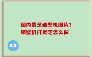 国内灵芝破壁机图片？破壁机打灵芝怎么做