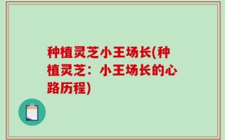 种植灵芝小王场长(种植灵芝：小王场长的心路历程)