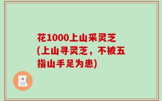 花1000上山采灵芝(上山寻灵芝，不被五指山手足为患)