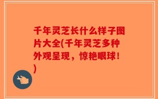 千年灵芝长什么样子图片大全(千年灵芝多种外观呈现，惊艳眼球！)