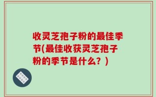 收灵芝孢子粉的最佳季节(最佳收获灵芝孢子粉的季节是什么？)